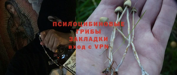 ПСИЛОЦИБИНОВЫЕ ГРИБЫ Алексин
