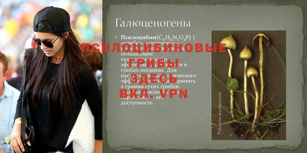 ПСИЛОЦИБИНОВЫЕ ГРИБЫ Алексин