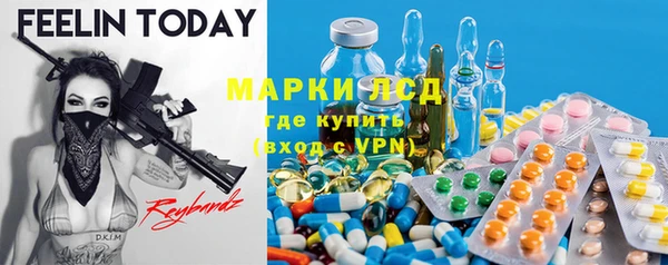 ПСИЛОЦИБИНОВЫЕ ГРИБЫ Алексин