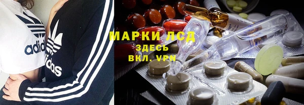 ПСИЛОЦИБИНОВЫЕ ГРИБЫ Алексин