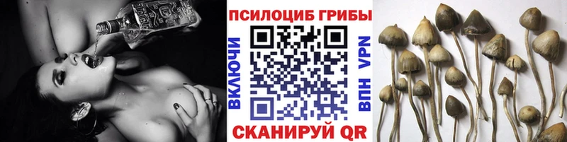 Галлюциногенные грибы ЛСД  blacksprut   Полевской 