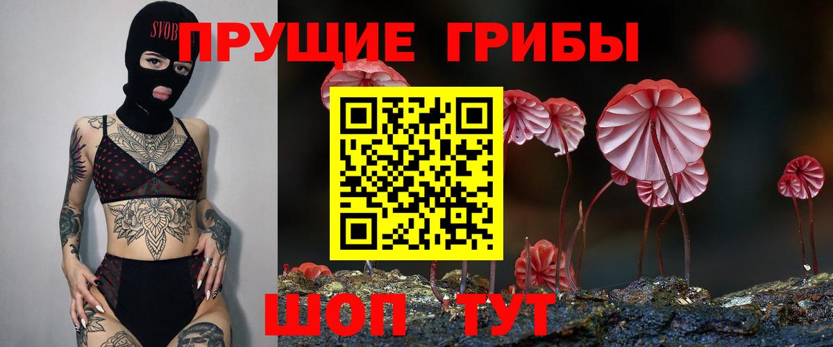 Псилоцибиновые грибы Magic Shrooms  Вход с VPN  Полевской 